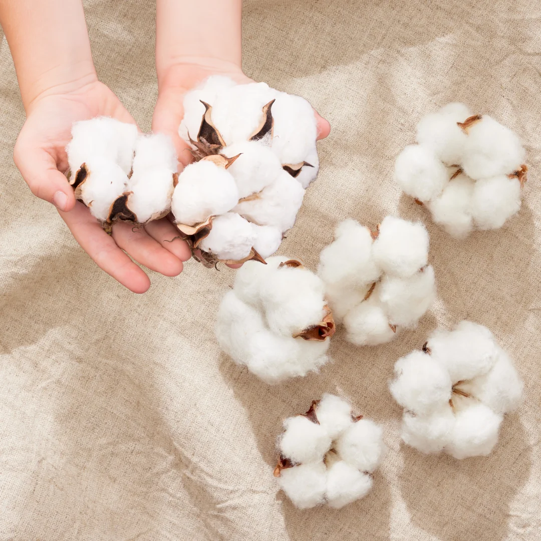 منتوجاتنا قطن 100%